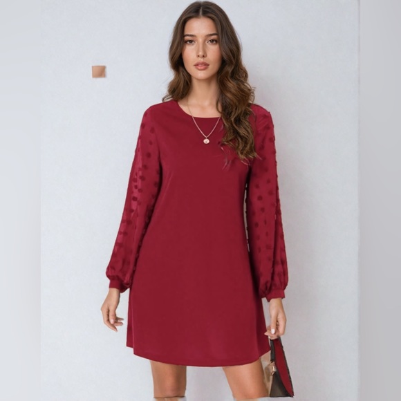 Red Swiss Dot Sheer Sleeve Dress - Picture 5 of 9